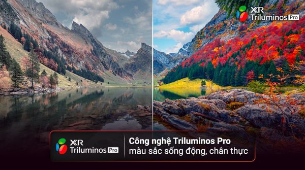 Google Tivi Sony 4K 43 inch KD-43X80L
